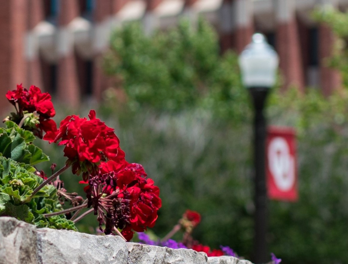 summer-flowers_outside-ellison-hall